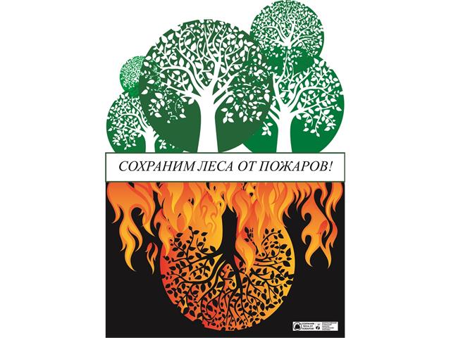 Харченко Анна, г. Москва